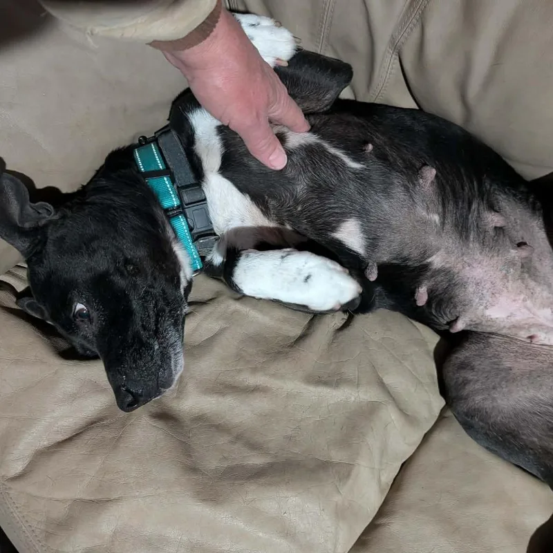 Serenity thumbnail 2