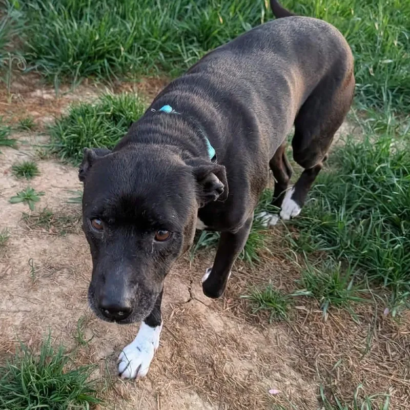 Serenity thumbnail 3