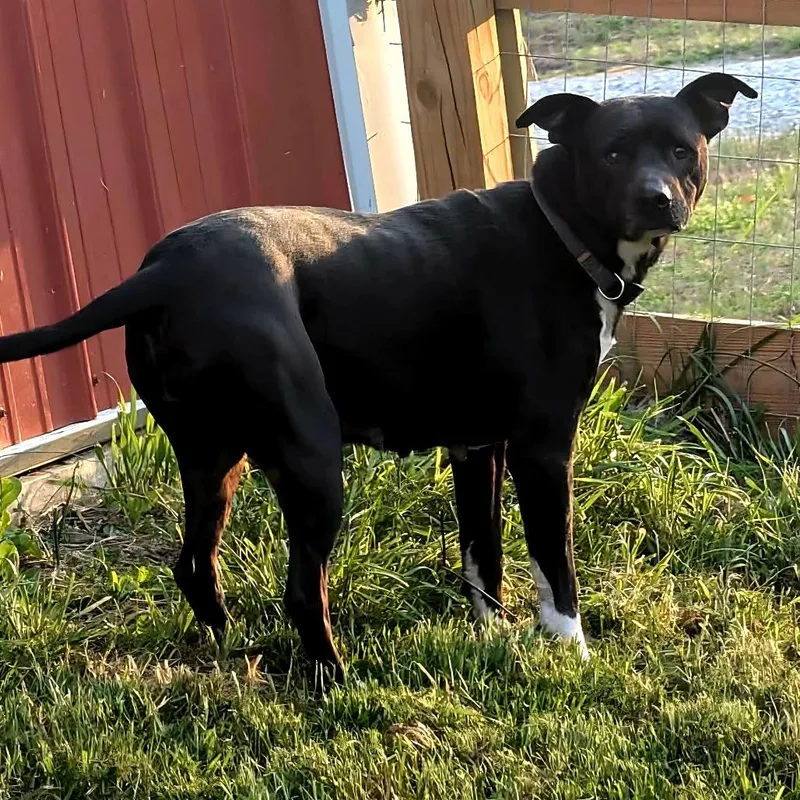 Serenity thumbnail 4