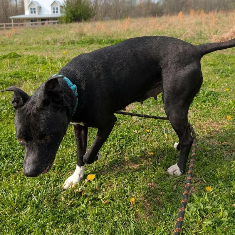 Serenity thumbnail 5