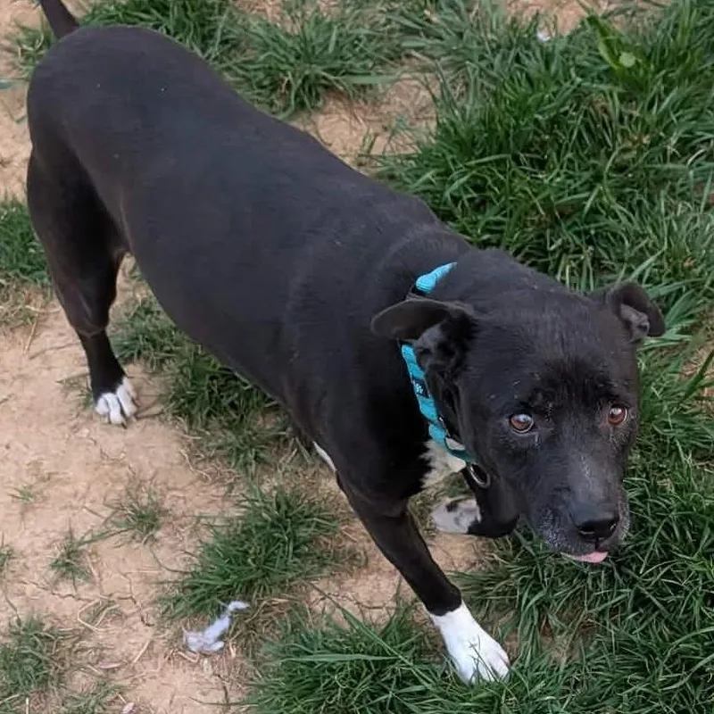 Serenity thumbnail 6