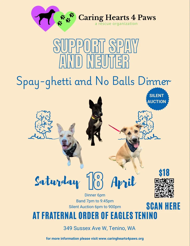 Spayghetti Fundraiser
