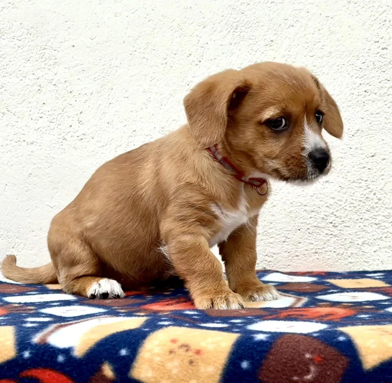 Schoolyard: Square thumbnail 2