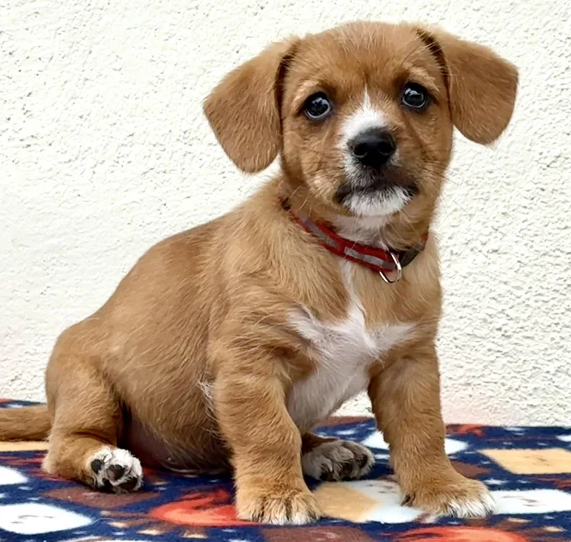 Schoolyard: Square thumbnail 3