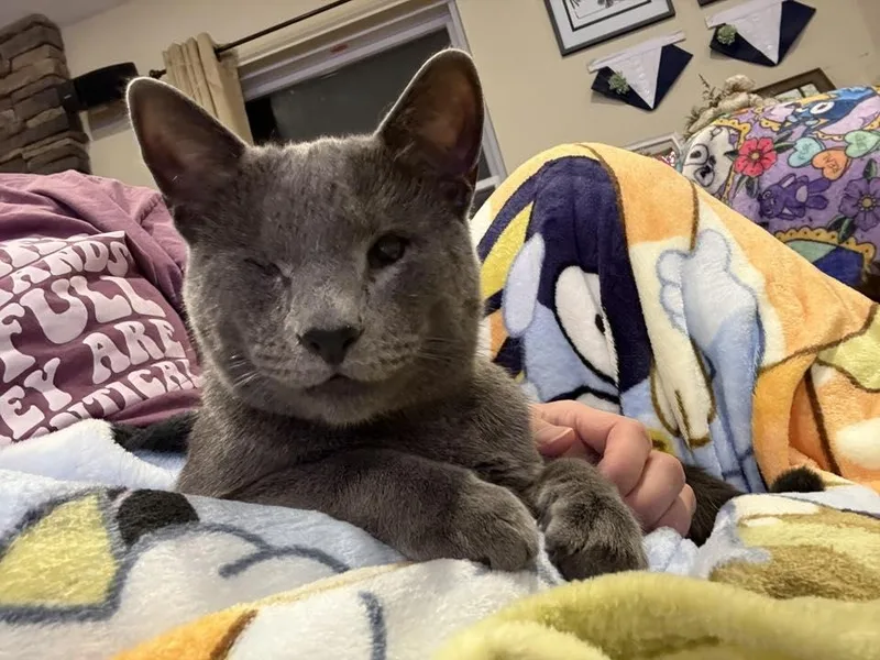 Weerwoof thumbnail 3