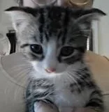 Six thumbnail 2