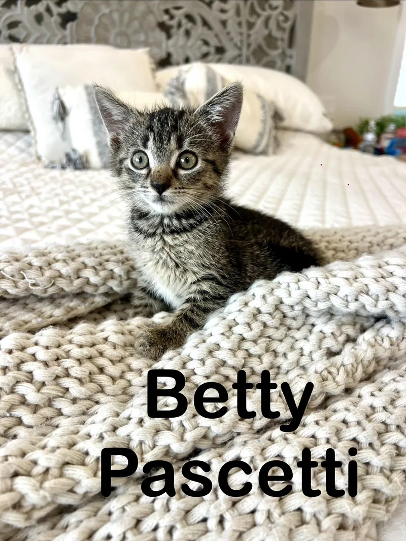 Betty Pascetti thumbnail 6
