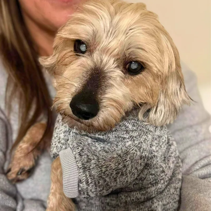 Bamm Bamm Rubble thumbnail 3