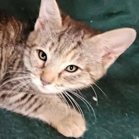 Lucy thumbnail 2