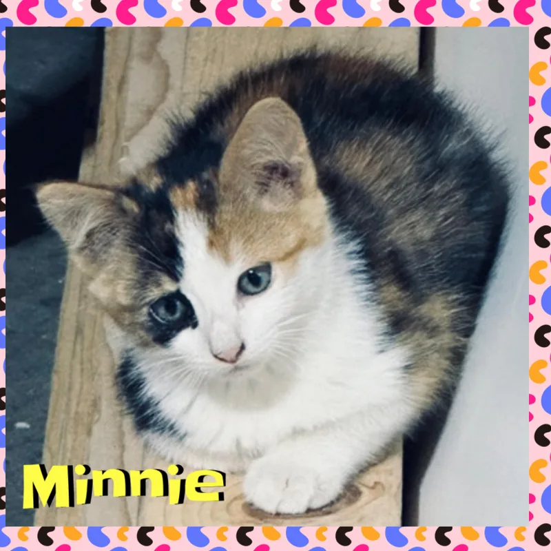 Minnie
