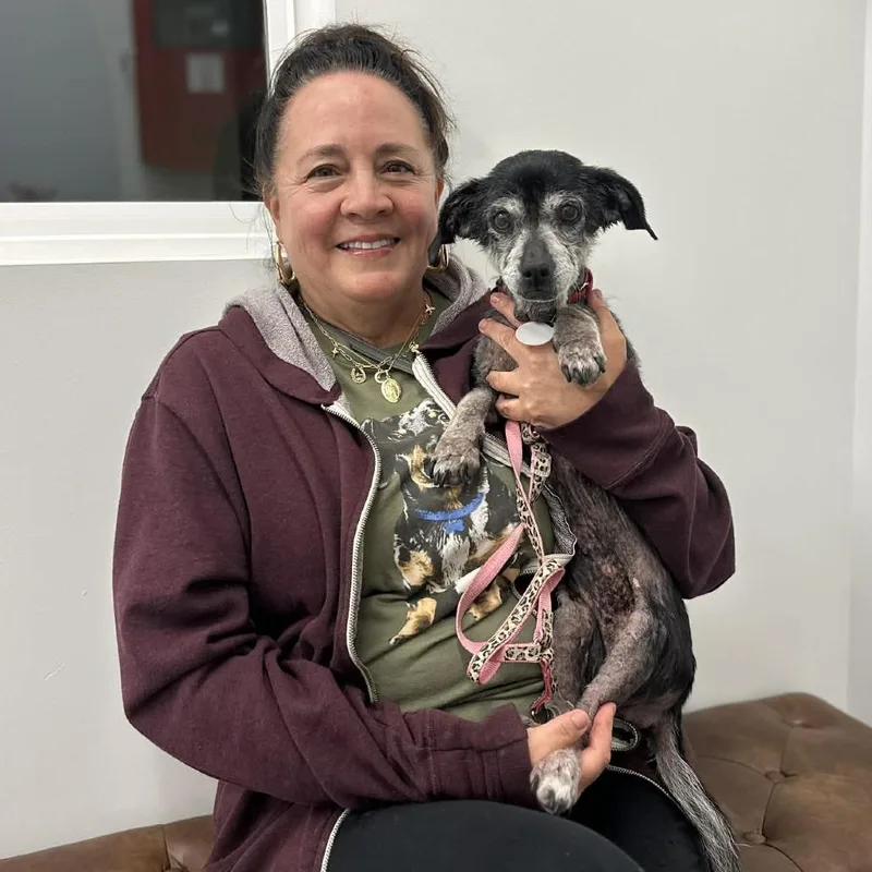 Chickpea thumbnail 3