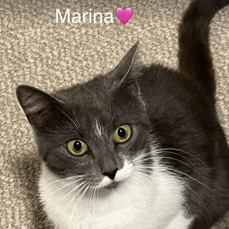Marina thumbnail 4