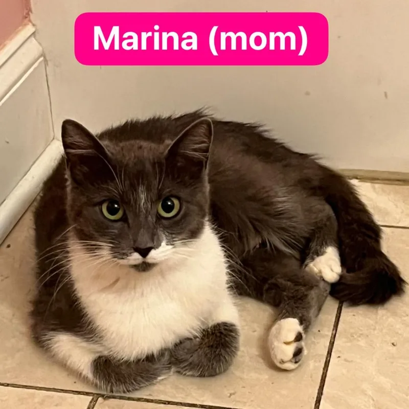 Marina thumbnail 6
