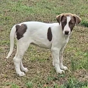 Coca Cola thumbnail 2