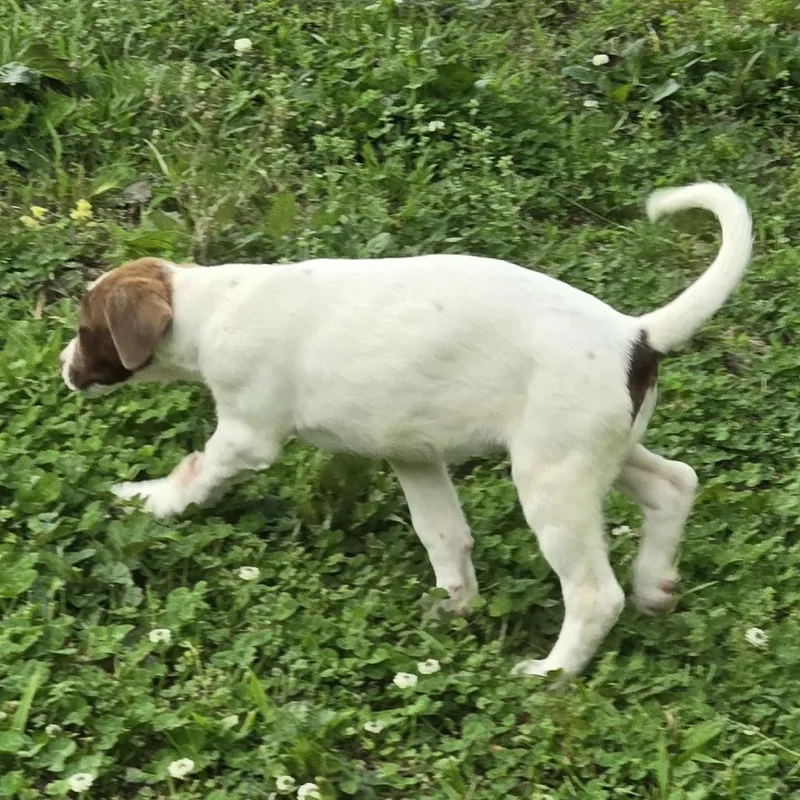 Coca Cola thumbnail 3