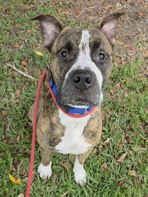 Zeus
