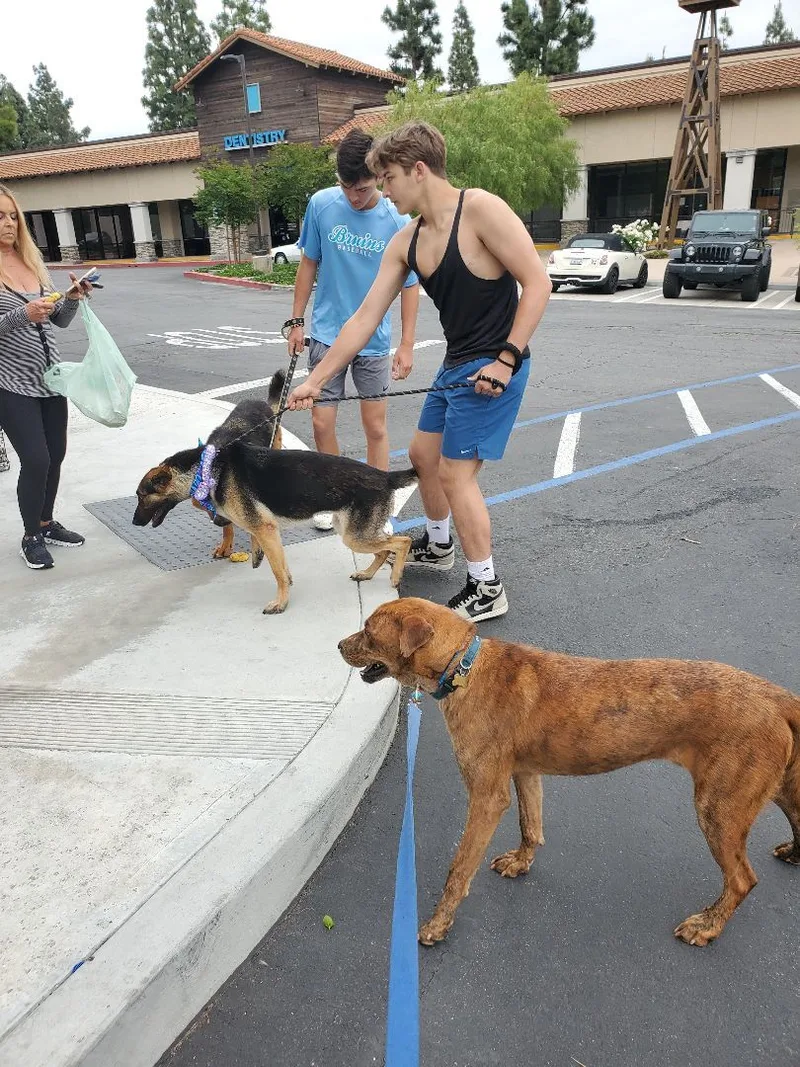 Charlie Brown thumbnail 2