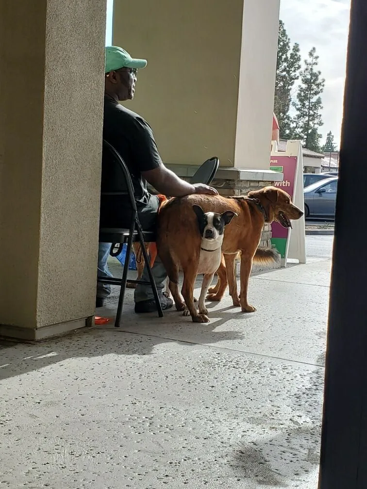 Charlie Brown thumbnail 3