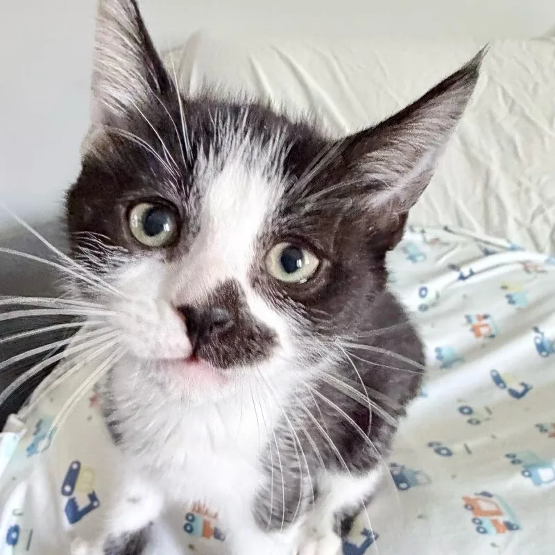 Opportunity thumbnail 5