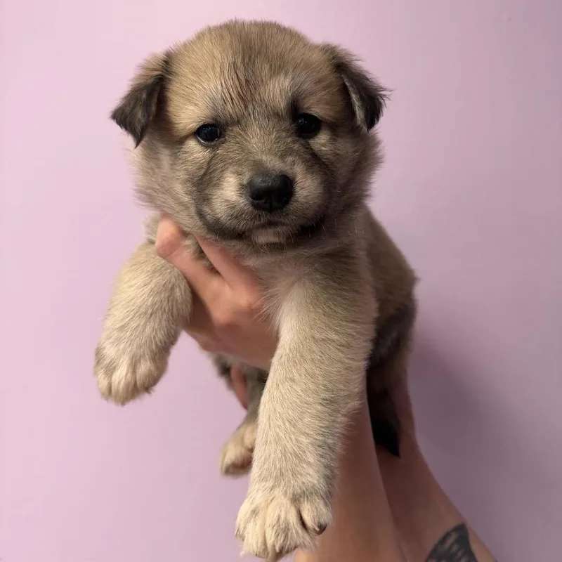 Beverly Hills thumbnail 2