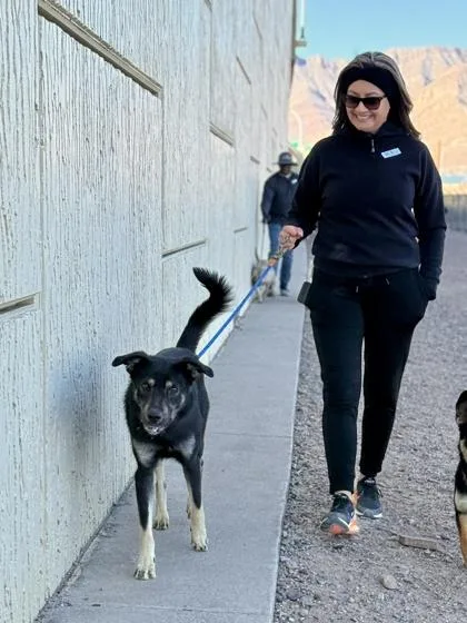 Beast Boy thumbnail 5