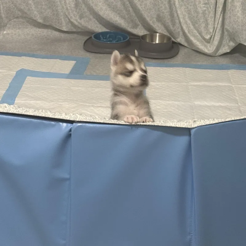Rudy thumbnail 6