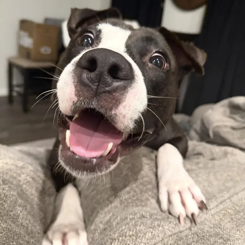 Maggie thumbnail 4