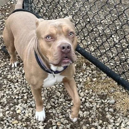 Guinness thumbnail 2