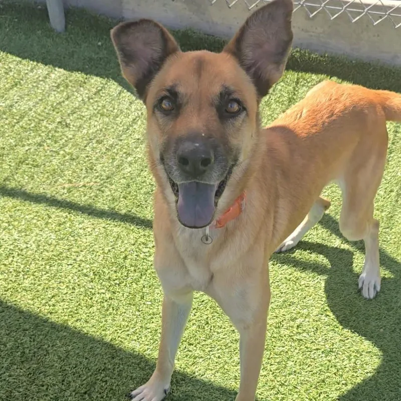 Felicity thumbnail 2