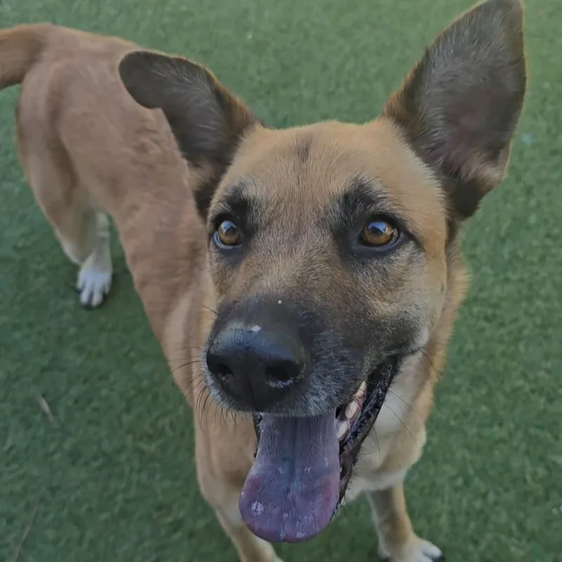 Felicity thumbnail 3