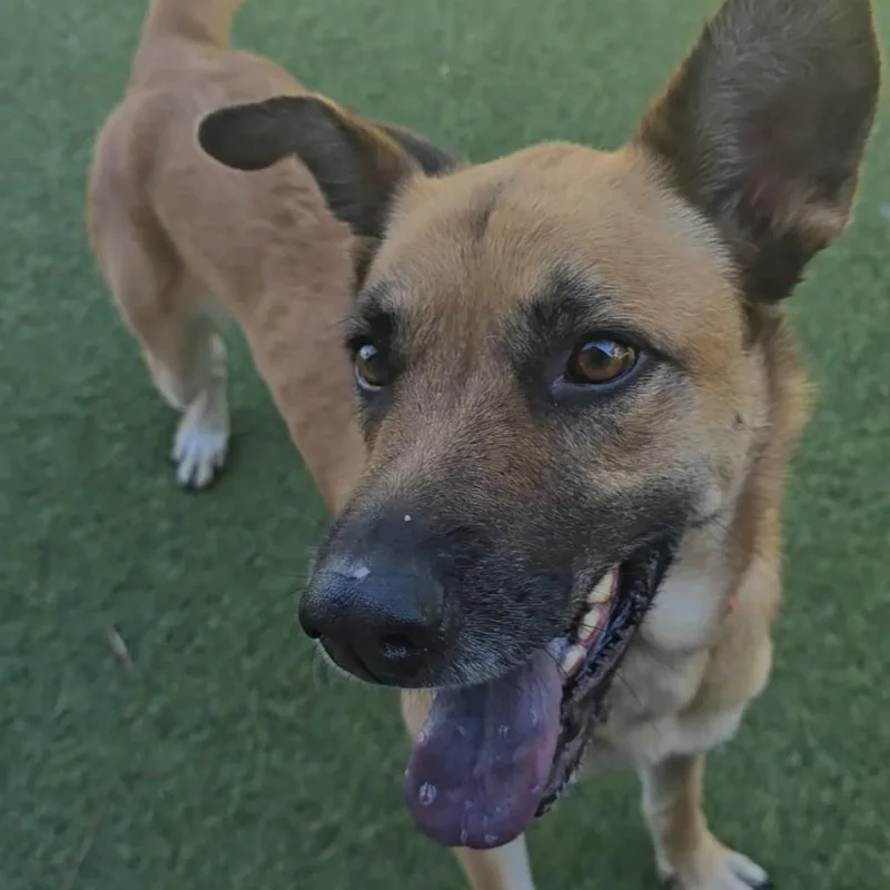 Felicity thumbnail 4