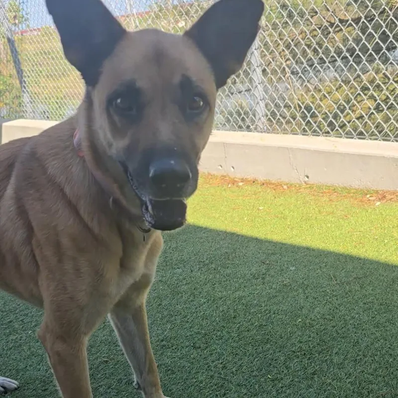 Felicity thumbnail 5