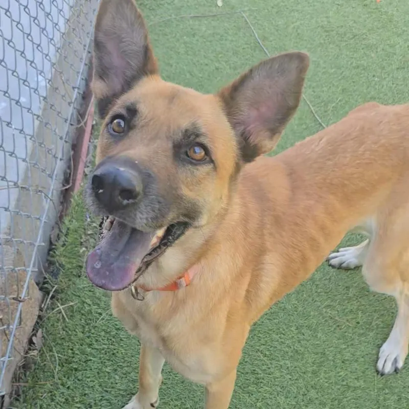 Felicity thumbnail 6