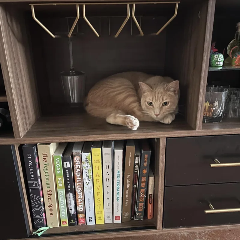 Manx For The Memories thumbnail 4