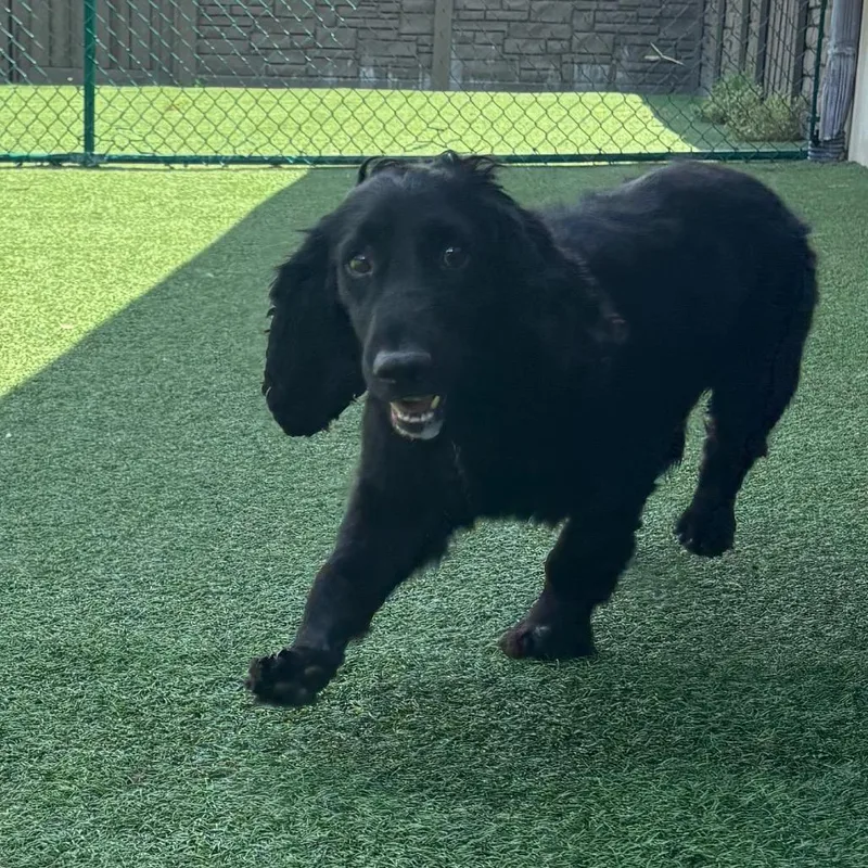 Jude