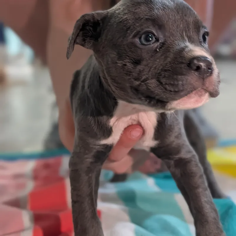 Lil Aka Lillian thumbnail 2