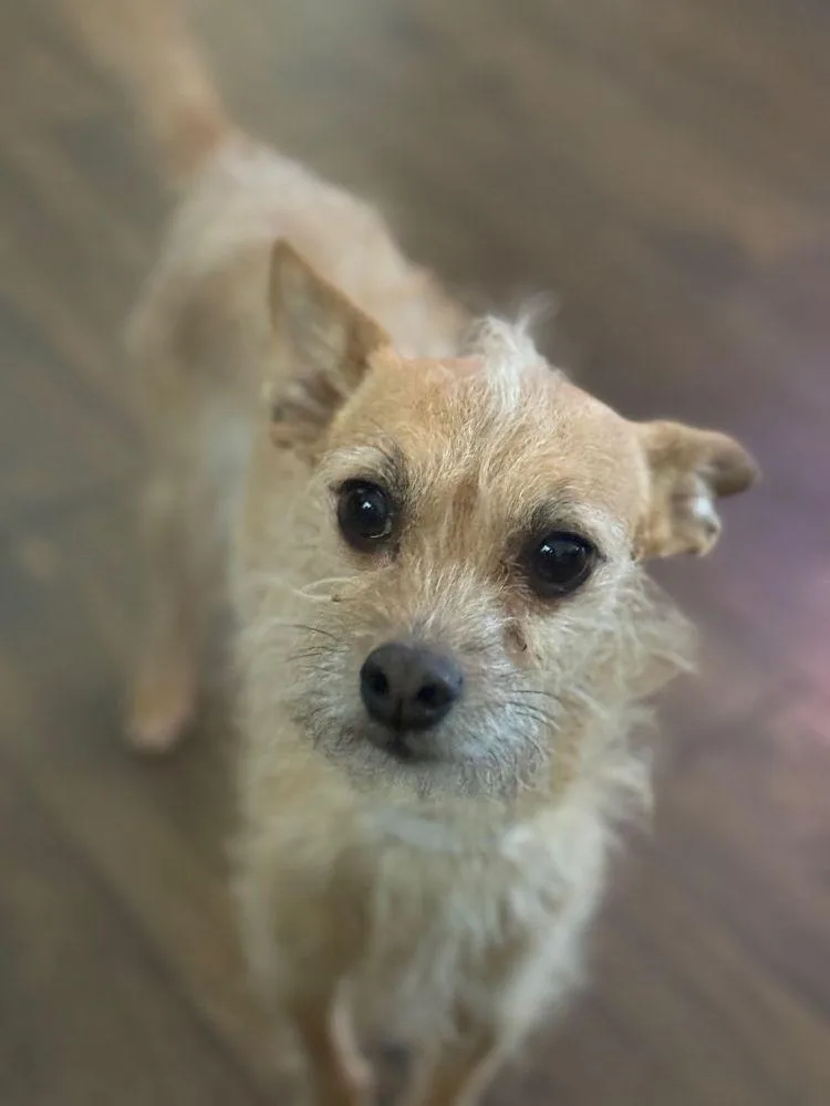 Rocky Rocco thumbnail 2