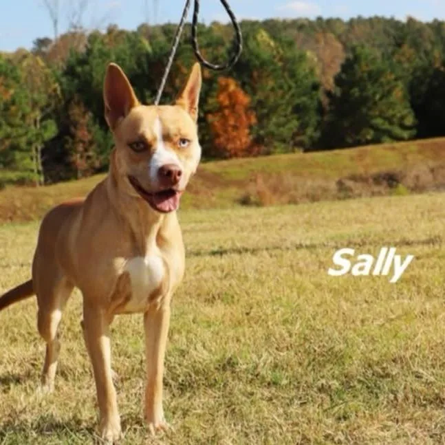 Sally thumbnail 2