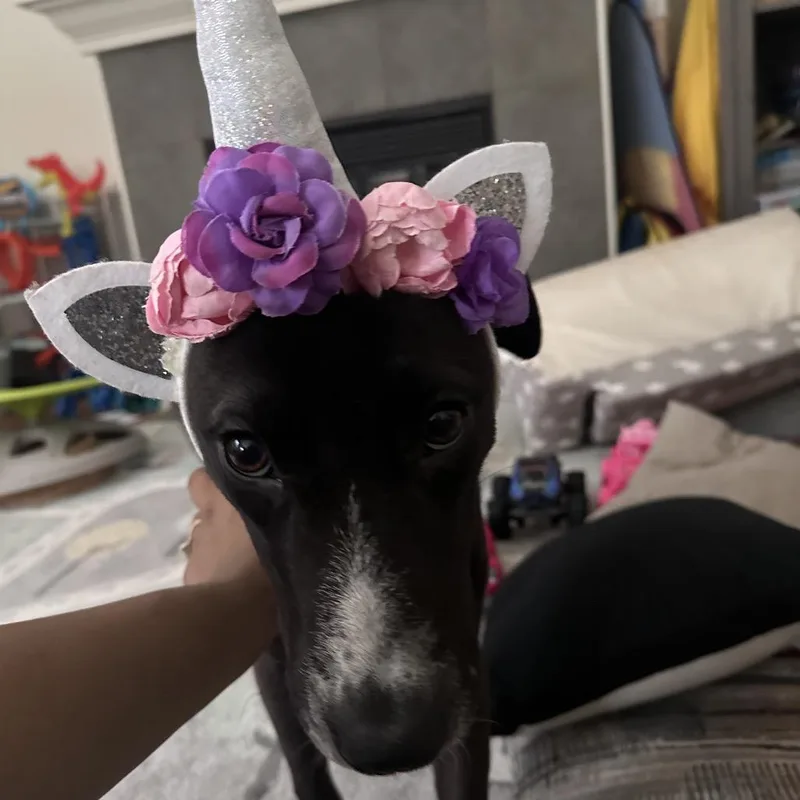 Jada thumbnail 3