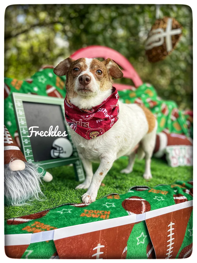 Freckles thumbnail 2