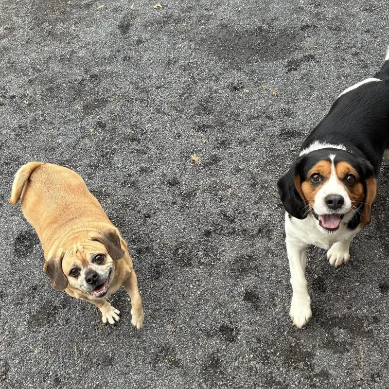 Jeronimo thumbnail 2