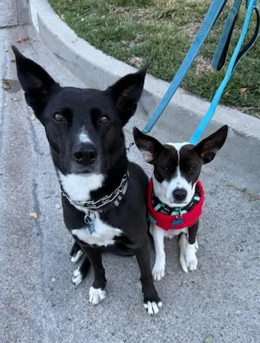 Cecilia!! You're Breakin' My thumbnail 3