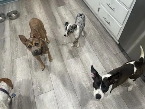 Cecilia!! You're Breakin' My thumbnail 4