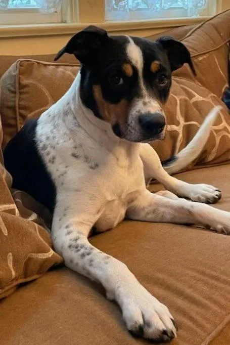 Princess Sadie thumbnail 2