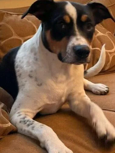 Princess Sadie thumbnail 3