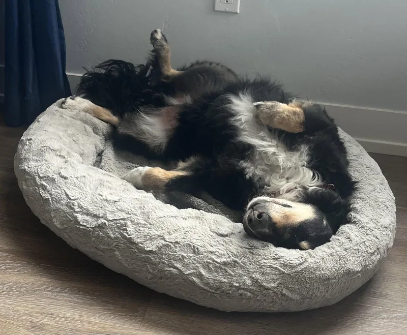 Milo