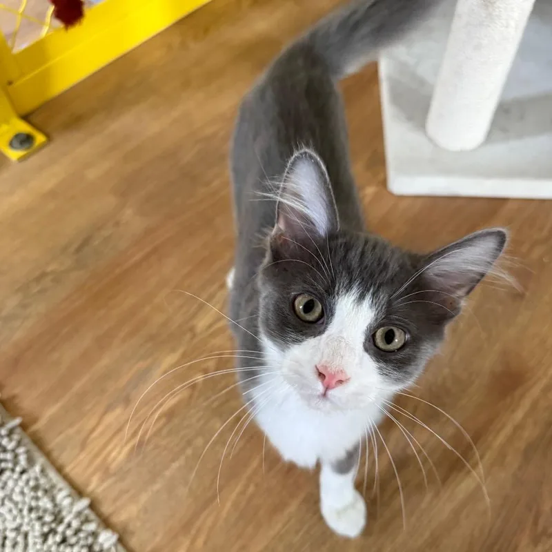 Frostbite thumbnail 2