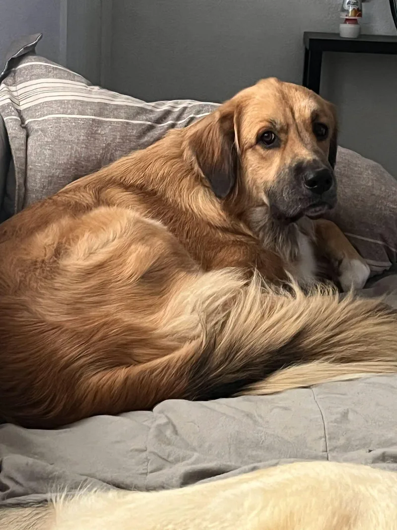 Ellie thumbnail 2
