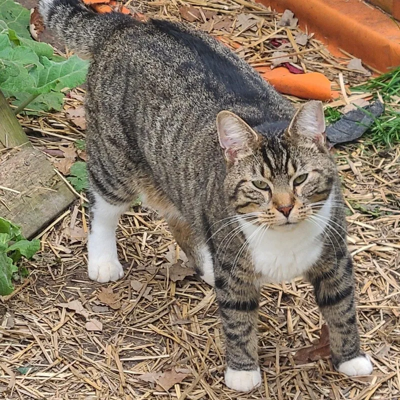 Errol >>the "reformed Apprehensive thumbnail 2