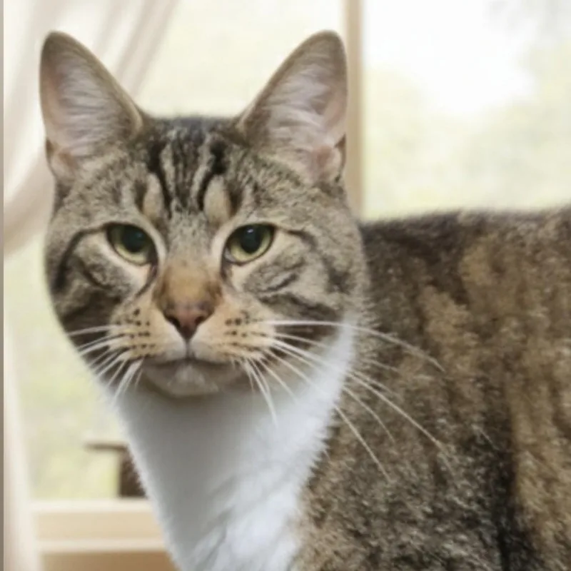 Errol >>the "reformed Apprehensive